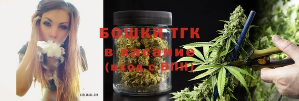 сатива Абинск