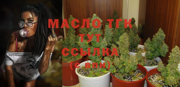 мяу мяу мука Абаза