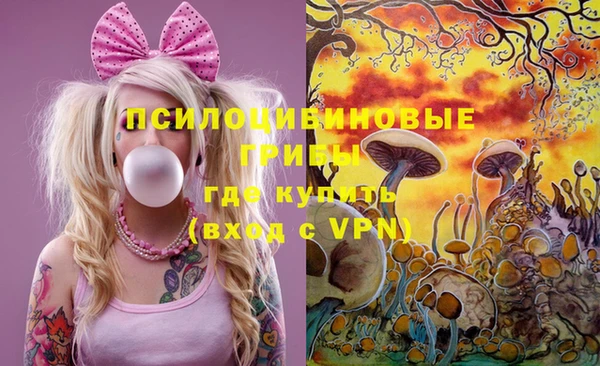 мяу мяу мука Абаза
